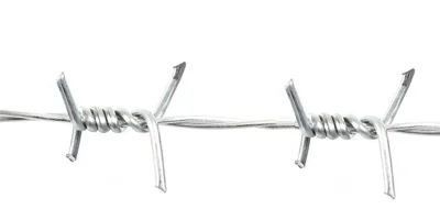 Coil de fil barbelé pour la construction de protection Distributeur de fil de rasoir galvanisé à chaud