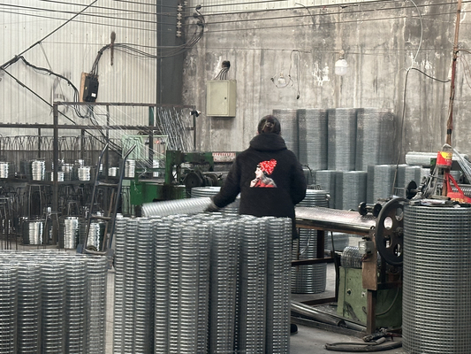 Protéger la clôture galvanisée en fil de fer en acier grille de panneau avec personnalisation de taille