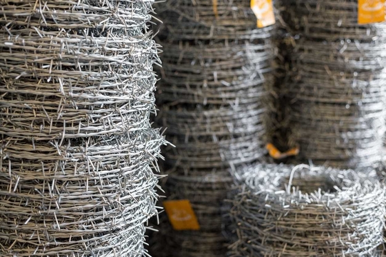 Échantillon disponible de fil barbelé galvanisé trempé à chaud avec certificat ISO