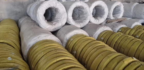 SS Wire offre des tiges de fil d'acier inoxydable de 3 mm AISI SS 201 304 316 310 pour les applications industrielles