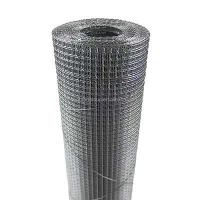 1/4 &quot;Roule de treillis métallique soudé en acier inoxydable pour la reproduction et l'isolation 10gauge 1m x 30m
