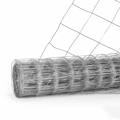 Tensile 12,5 épaisseur noeud fixe Fermeture de fermes en acier électro galvanisé Zinc 8-15g/m2 16 épaisseur BWG21 Maillage soudé pour l'agriculture