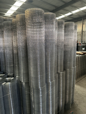 Spécifications standard Twill Weave JHT Cage d'oiseau galvanisé en acier soudé filet de fil de fer en rouleau pour répondre aux exigences du client