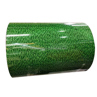 Ppgi Gi Coil d'acier pour la Malaisie Ral 9006 Coil d'acier prépeint avec service de coupe Jis certifié
